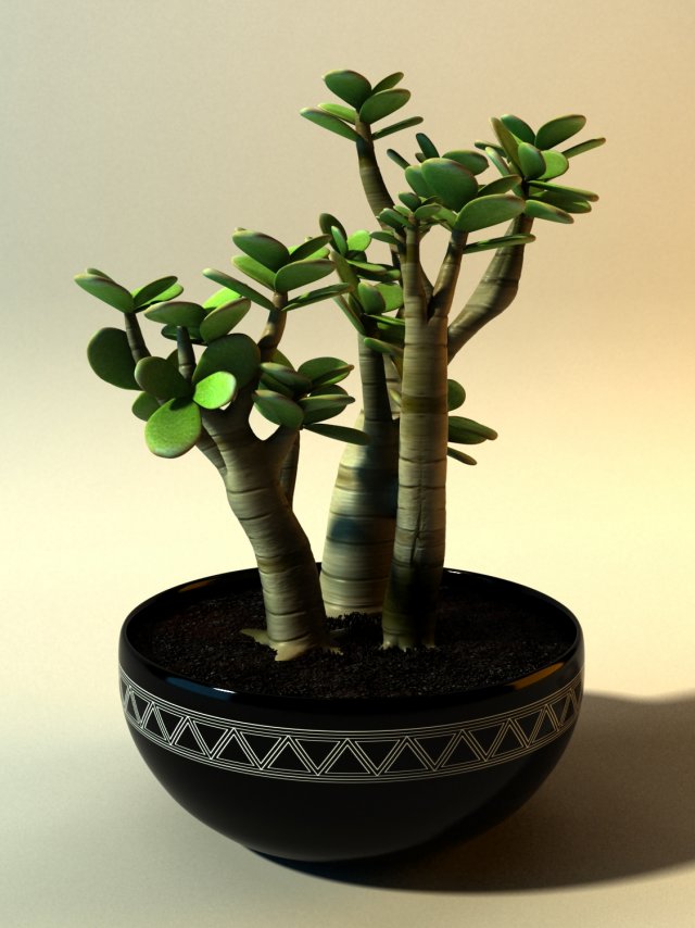 crassula ovata convoluta Modello 3D .c4d .max .obj .3ds .fbx .stl .blend 