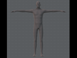 base mesh man character 3D Model