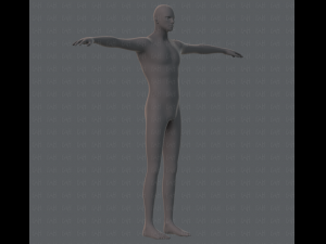 base mesh man character 3D Model