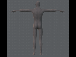 base mesh man character 3D Model