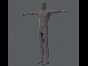 base mesh man character 3D Model