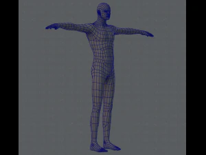 base mesh man character 3D Model