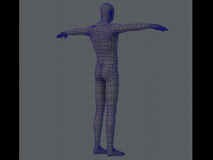 base mesh man character 3D Model