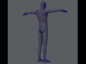 base mesh man character 3D Model