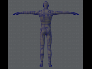 base mesh man character 3D Model