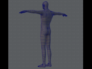 base mesh man character 3D Model