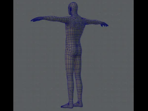 base mesh man character 3D Model