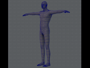 base mesh man character 3D Model