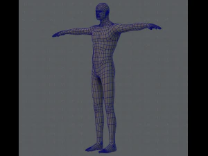 base mesh man character 3D Model