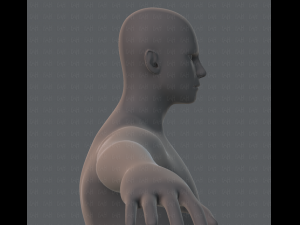 base mesh man character 3D Model