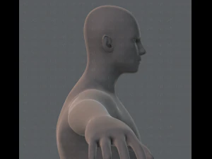 base mesh man character 3D Model