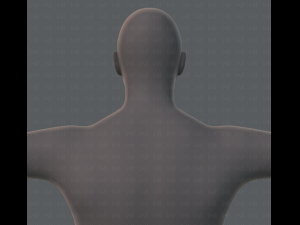 base mesh man character 3D Model