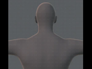 base mesh man character 3D Model