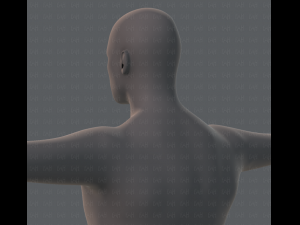 base mesh man character 3D Model