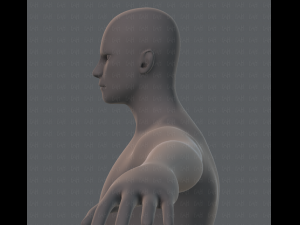 base mesh man character 3D Model