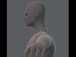 base mesh man character 3D Model