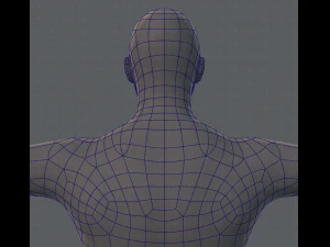 base mesh man character 3D Model