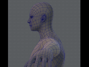 base mesh man character 3D Model