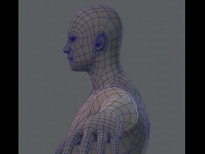 base mesh man character 3D Model