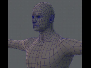 base mesh man character 3D Model