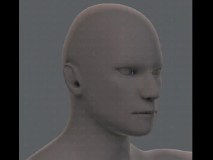 base mesh man character 3D Model