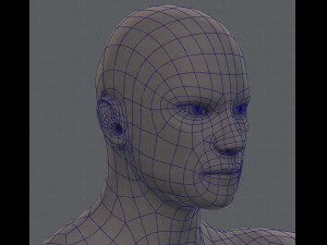 base mesh man character 3D Model