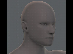 base mesh man character 3D Model