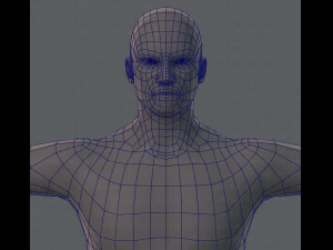 base mesh man character 3D Model