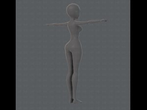 base mesh woman 01 3D मॉडल