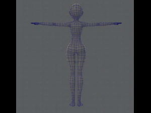 base mesh woman 01 3D Model