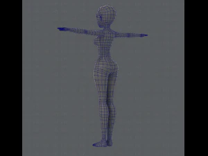 base mesh woman 01 3D Model