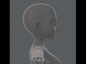 base mesh woman 01 3D मॉडल
