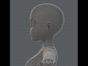 base mesh woman 01 3D मॉडल