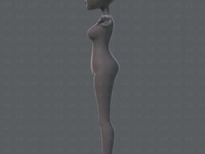 base mesh woman 02 3D Модель
