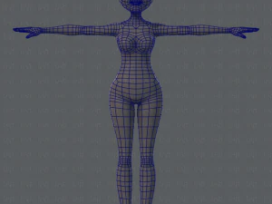 base mesh woman 02 3D Model