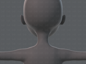 base mesh woman 02 3D Модель
