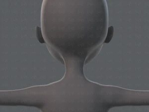 base mesh woman 02 3D Model