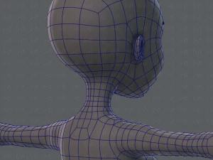 base mesh woman 02 3D Model