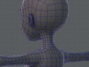 base mesh woman 02 3D Модель