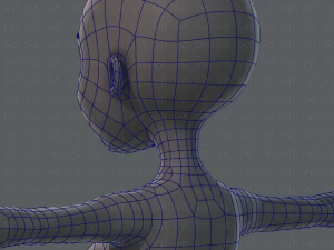 base mesh woman 02 3D Model