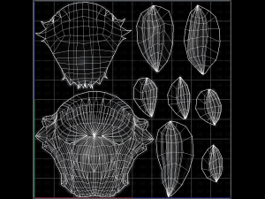 3d hair style for boy v06 3D Модель