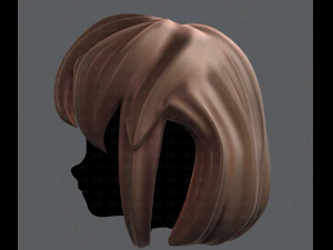 3d hair style for girl v12 3D Model