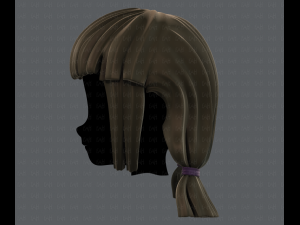 3d hair style for girl v14 Model 3D