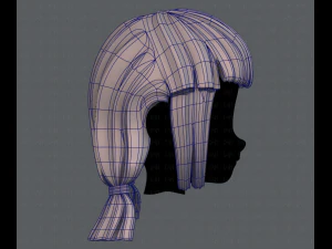 3d hair style for girl v14 3D Model