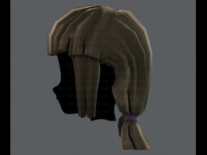 3d hair style for girl v14 3D Model