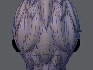 3d hair style for boy v08 3D Model
