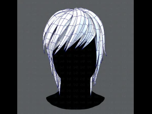 3d hair style for woman typeb v01 3D Model
