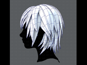 3d hair style for woman typeb v01 3D 模型