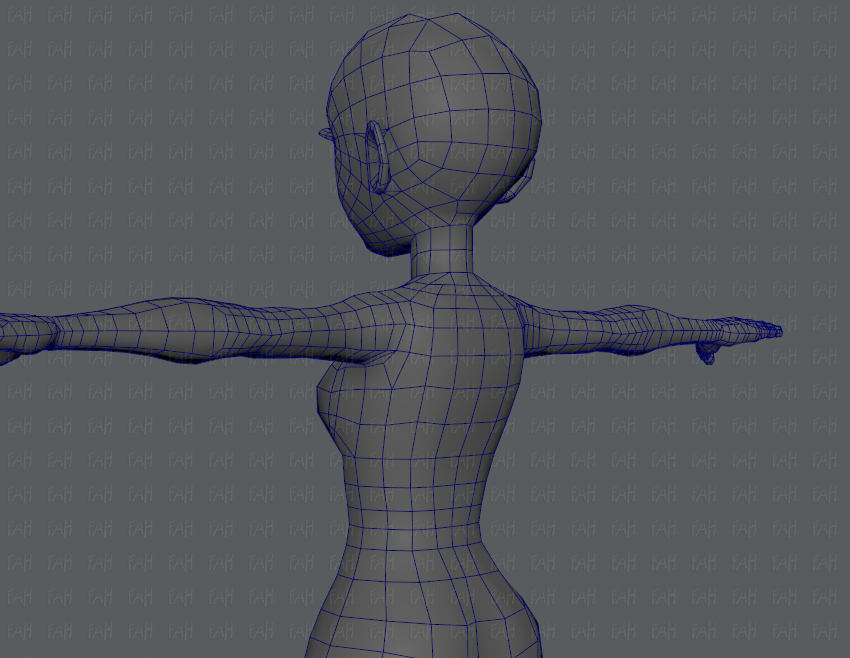 Female Custom Base Mesh 3d Model