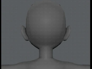 base mesh woman 03 3D Model